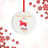 Baby's First Christmas Gift Ornament